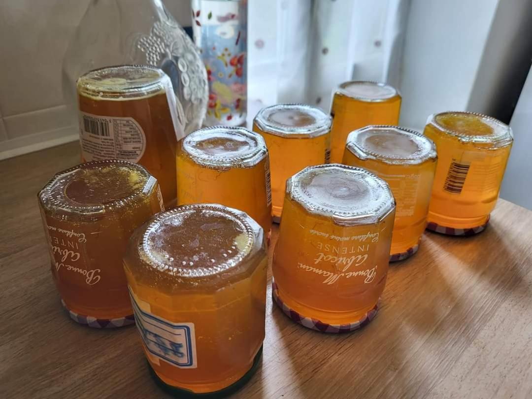 Chambres D Hotes L'Agape Saint-Martial-sur-Isop Екстериор снимка